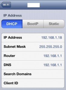 iPhone IP Address